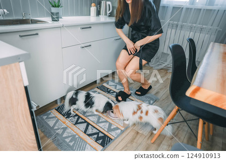 woman feeding for japanese chin in modern kitchen, concept of pet care and contemporary lifestyle woman feeding for japanese chin in modern kitchen, concept of pet care and contemporary lifestyle 124910913