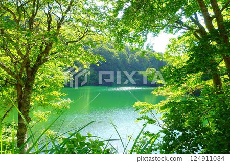 多科沼澤藏王鮮綠 124911084