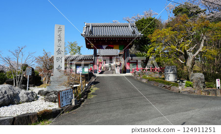 Kongoji Temple Gamagori City 124911251