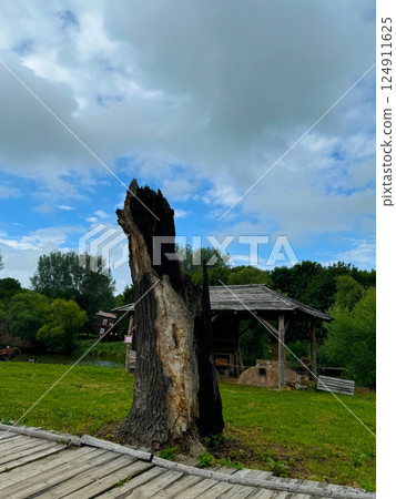Charred Tree Trunk Stands Alone in Countryside Setting 124911625
