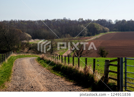 Farm Track in a Rural Location in Early Spring Farm Track in a Rural Location in Early Spring 124911836
