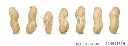 Various peanut nuts set isolated, different peanuts collection isolated. 124911839