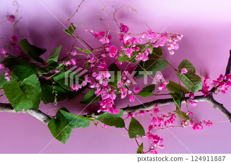 Pink flowers and green leaves create a charming scene on a soft purple background.Invitation card or template for your design. 124911887