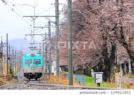 Jomo Electric Railway "Cherry blossom trees and trains just after blooming in front of Kiryu Baseball Stadium" 124911931