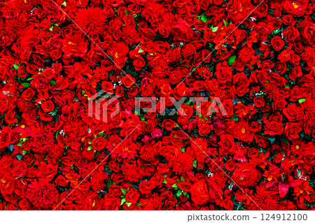 A beautiful bunch of vibrant red roses are blooming in a garden 124912100