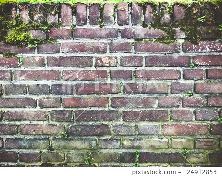Brick wall with moss growing on it 124912853