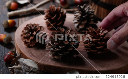Pine cone image Pine cone image 124913026