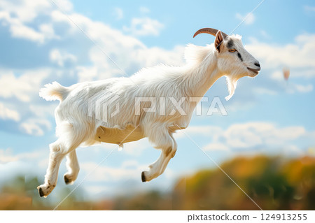 White goat is flying through the air White goat is flying through the air 124913255