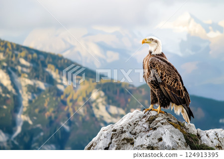 Bald eagle stands on a rock in front of a mountain range Bald eagle stands on a rock in front of a mountain range 124913395