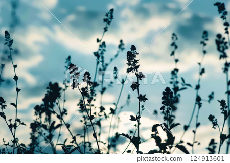 Group of trees with leaves that are silhouetted against a blue sky. 124913601