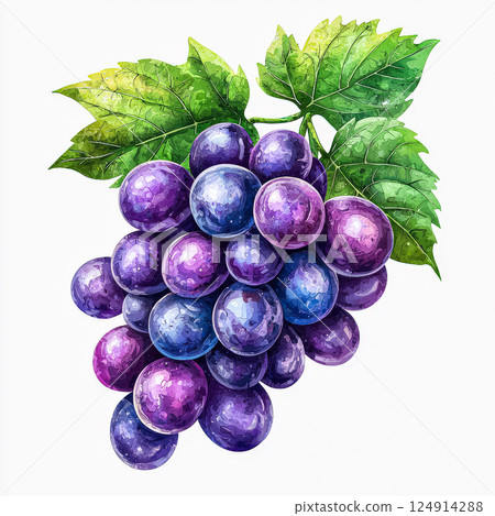 Close up of a bunch of purple grapes with a leaf on top. Close up of a bunch of purple grapes with a leaf on top. 124914288