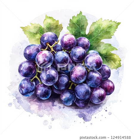 Bunch of purple grapes are shown on a white background. 124914588