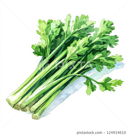 Bunch of green celery stalks 124914610