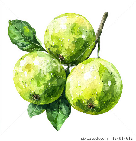 Close up of a green apple with a bite taken out of it. 124914612