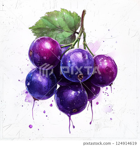 Bunch of purple grapes with droplets of water on them. Bunch of purple grapes with droplets of water on them. 124914619