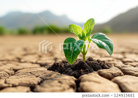 New plant pushing through cracked dry soil in bright sunlight. Mountain backdrop emphasizes resilience. Concept sustainability, climate awareness, environmental growth. New plant pushing through cracked dry soil in bright sunlight. Mountain backdrop emphasizes resilience. Concept sustainability, climate awareness, environmental growth. 124915681