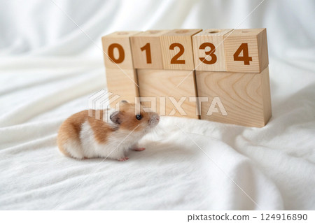 Number blocks and hamster 124916890