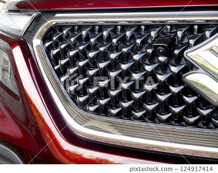 家用車前格柵 家用車前格柵 124917414