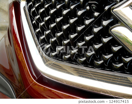 家用車前格柵 家用車前格柵 124917415