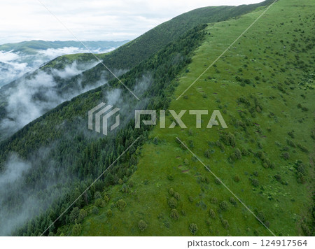 Aerial view of forest and grassland landscape in fog and rain 124917564