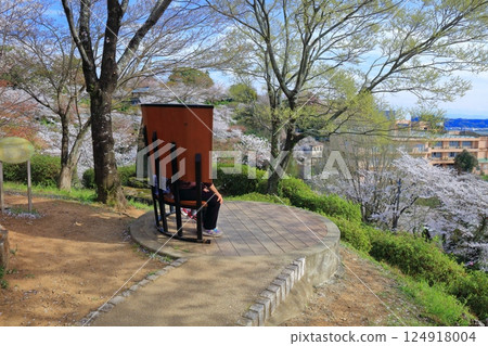 [Kumamoto Prefecture] Observation bench at Kikuchi Park with cherry blossoms in full bloom 124918004