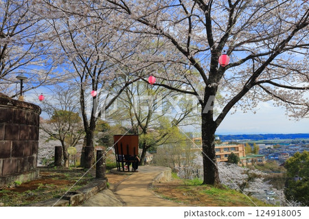 [Kumamoto Prefecture] Observation bench at Kikuchi Park with cherry blossoms in full bloom 124918005