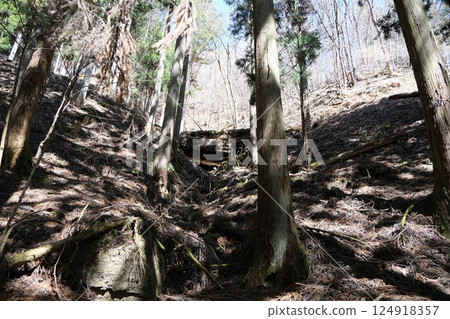 群馬縣南牧村 從大田水壩順時針方向的山路 小山谷中的木壩 2025年4月9日 124918357