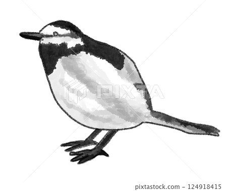 側身黑背鶺鴒 側身黑背鶺鴒 124918415