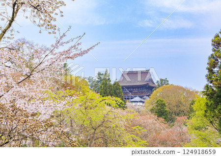 World heritage site in full bloom of cherry blossoms, Mt. Yoshino in the early morning 124918659