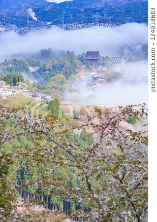 櫻花盛開的世界遺產，清晨的吉野山 124918683