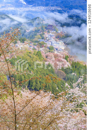 櫻花盛開的世界遺產，清晨的吉野山 124918698