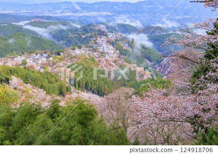 World heritage site in full bloom of cherry blossoms, Mt. Yoshino in the early morning 124918706