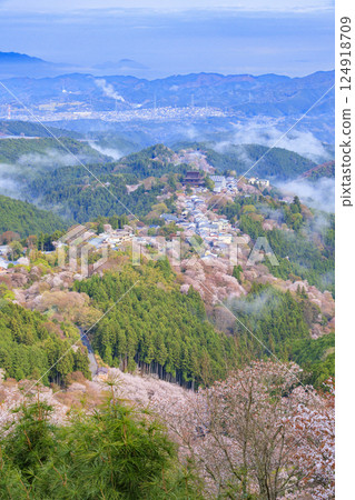 World heritage site in full bloom of cherry blossoms, Mt. Yoshino in the early morning 124918709