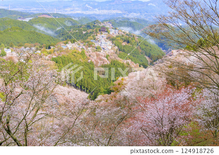 World heritage site in full bloom of cherry blossoms, Mt. Yoshino in the early morning 124918726