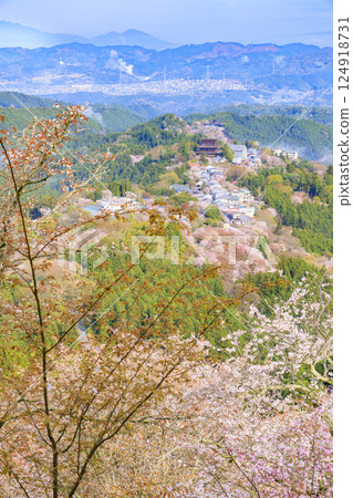 World heritage site in full bloom of cherry blossoms, Mt. Yoshino in the early morning 124918731