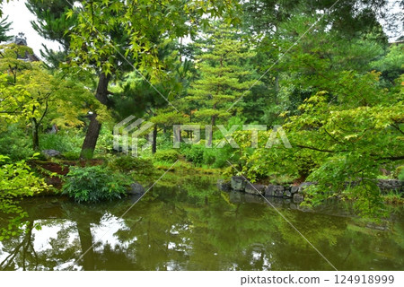 有池塘的當持院花園 124918999