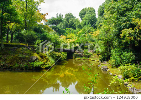 有池塘的當持院花園 有池塘的當持院花園 124919000