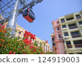 Ropeway and Bougainvillea Flowers 124919003