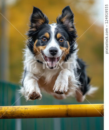 Dog leaps joyfully over hurdles during an exciting outdoor training session Dog leaps joyfully over hurdles during an exciting outdoor training session 124919555