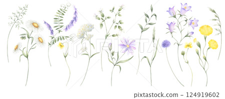 Wildflowers chamomile, bellflower, buttercup, dandelion, mouse pea, yarrow and meadow grasses. Hand drawn isolated watercolor illustration set of yellow and lilac flowers for fabric print, postcards. 124919602