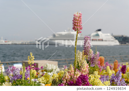 從橫濱臨港公園望去,停泊在新港碼頭的客輪 Seabourn Quest 從橫濱臨港公園望去,停泊在新港碼頭的客輪 Seabourn Quest 124919834
