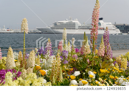 從橫濱臨港公園望去，停泊在新港碼頭的客輪 Seabourn Quest 124919835