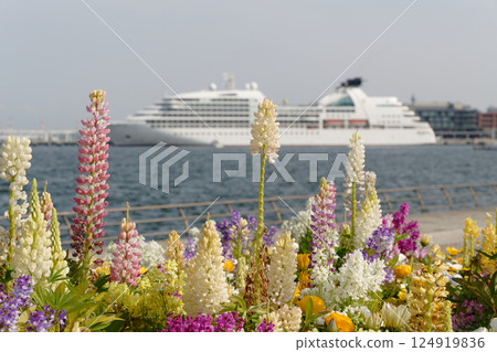 從橫濱臨港公園望去,停泊在新港碼頭的客輪 Seabourn Quest 從橫濱臨港公園望去,停泊在新港碼頭的客輪 Seabourn Quest 124919836
