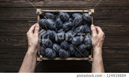 Female farmer holding fresh plums in box Female farmer holding fresh plums in box 124919884