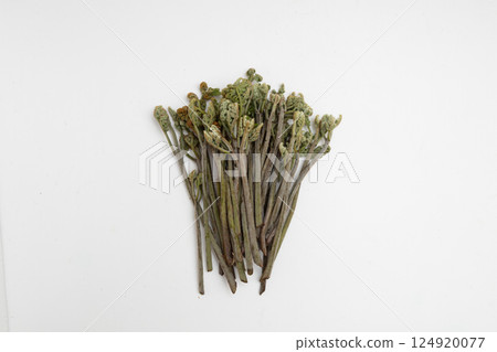 Spring food: bracken - Stock photo of bracken, a typical wild vegetable 124920077
