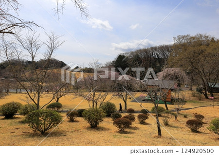 Tsuganosato/Tochigi City, Tochigi Prefecture 124920500