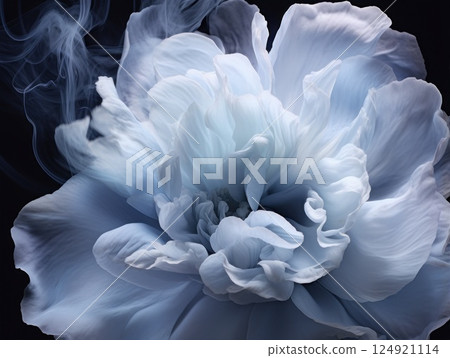 Gentle blue background with peony petals. Beautiful flower close up. 124921114