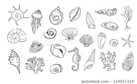 Sea shell sketch ocean life hand drawn illustration. Outline modern style, summer, vacation, beach design elements. Coral and seaweed, starfish line.  124921124