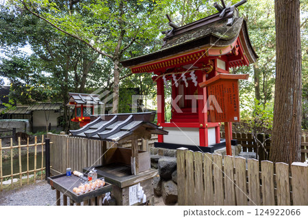 奈良縣 / 市杵島姬神社（2024年11月拍攝） 124922066