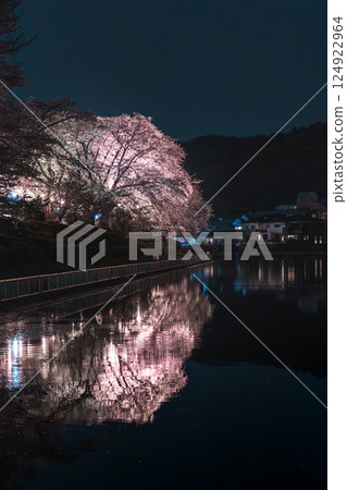 Cherry blossoms blooming at night at Shikanokawa Pond Cherry blossoms blooming at night at Shikanokawa Pond 124922964